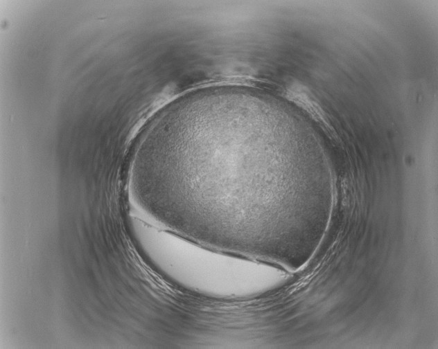 X0000060771260200511141248