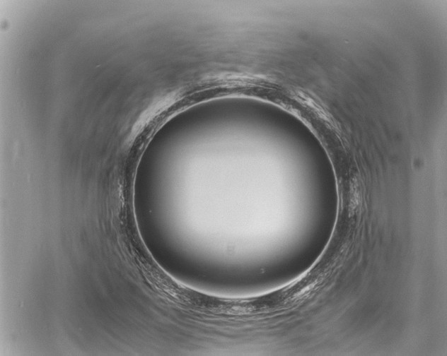 X0000060771261200511141248