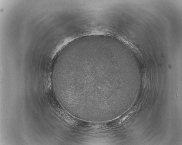 X0000060771262200511141248