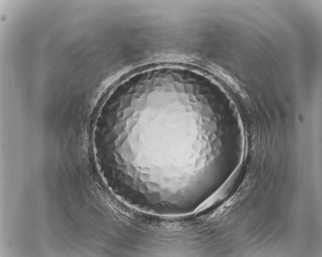 X0000060771264200511141248