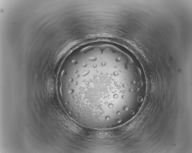 X0000060771266200511141248