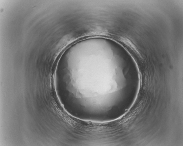 X0000060771268200511141248