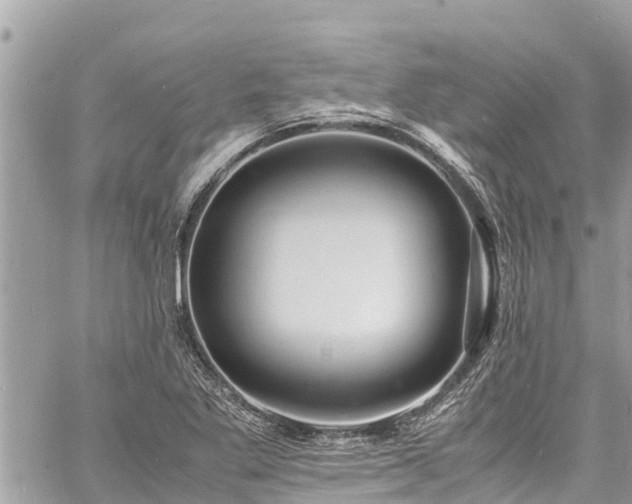 X0000060771269200511141248