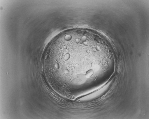 X0000060771271200511141248