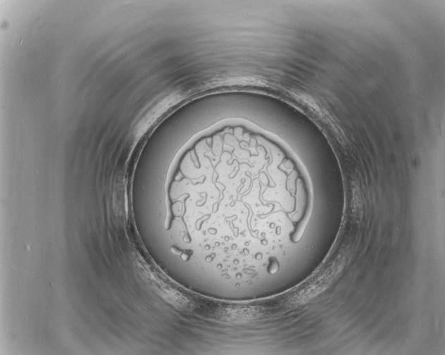 X0000060771274200511141248