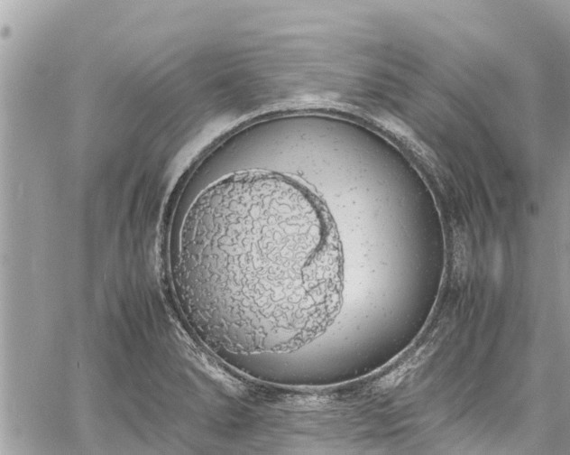 X0000060771278200511141248