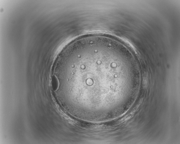 X0000060771279200511141248