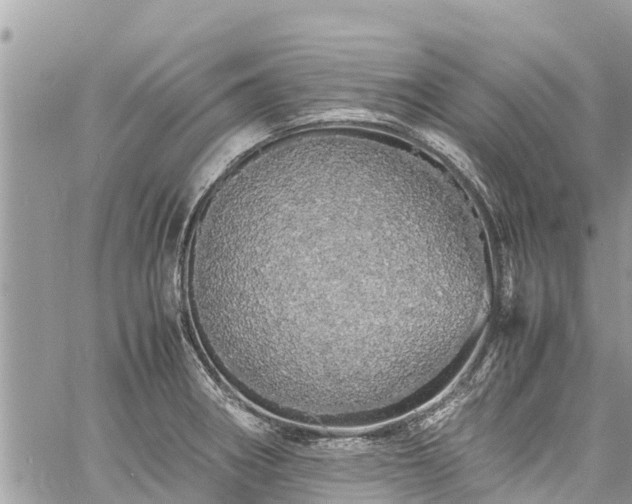 X0000060771282200511141248