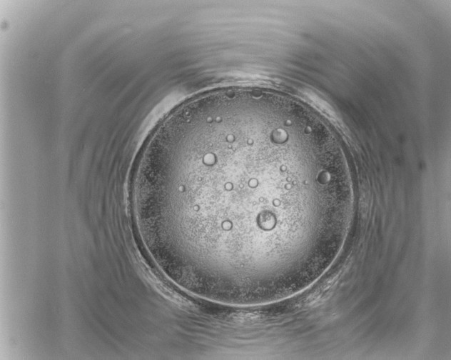 X0000060771283200511141248