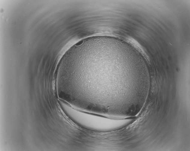 X0000060771284200511141247