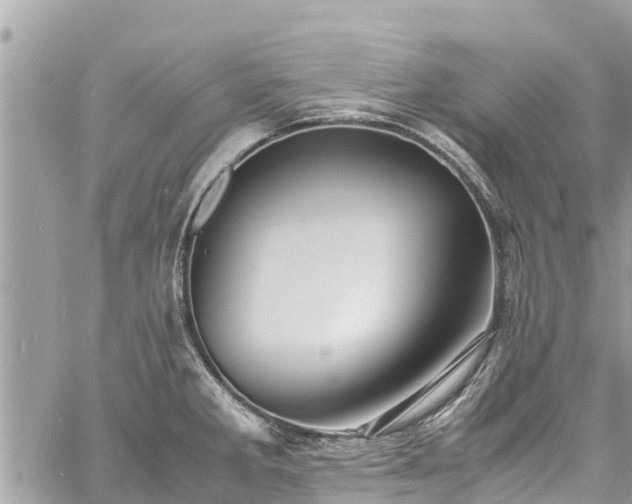 X0000060771285200511141247