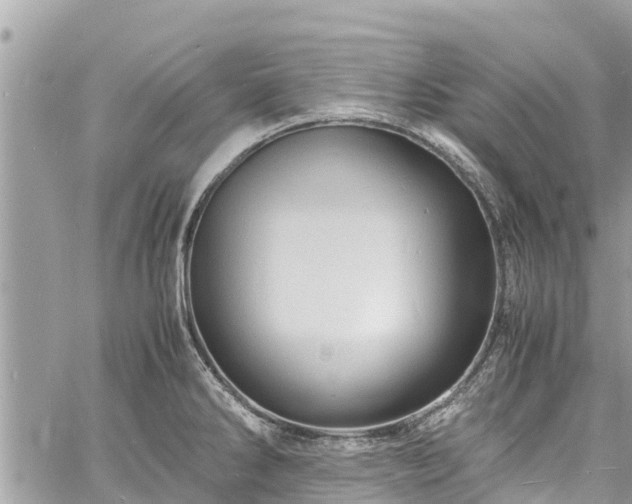 X0000060771286200511141247