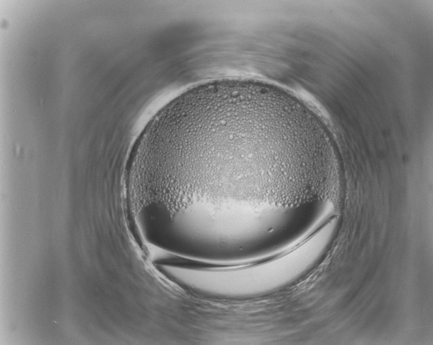 X0000060771287200511141247