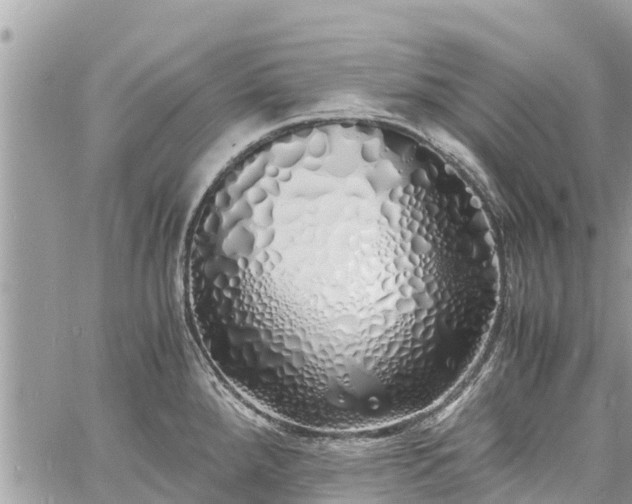 X0000060771288200511141247