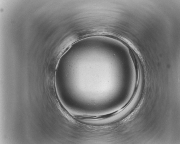 X0000060771289200511141247