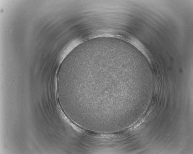 X0000060771290200511141247