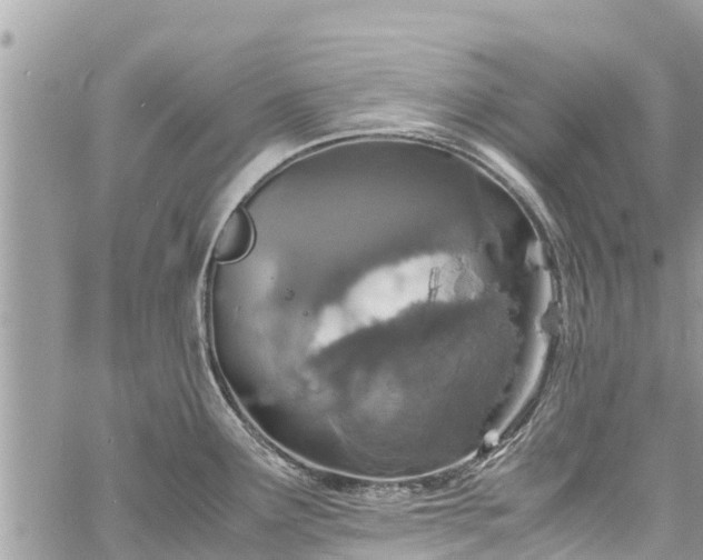 X0000060771291200511141247