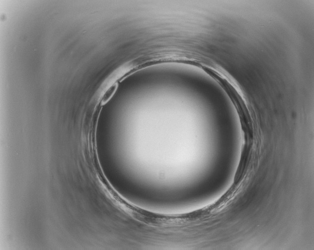 X0000060771293200511141247