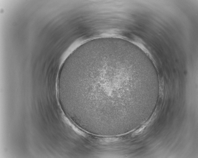 X0000060771294200511141247