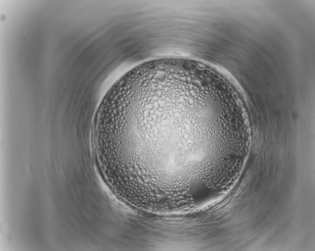 X0000060771295200511141247