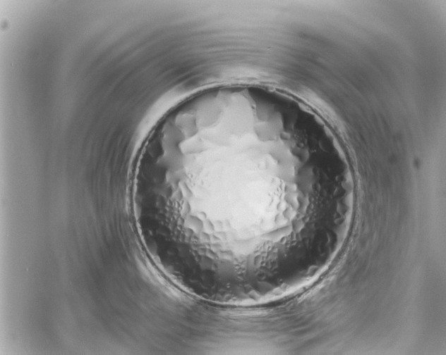 X0000060771296200511141247