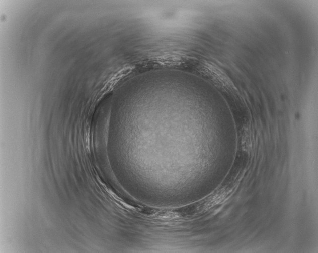 X0000060771298200511141247