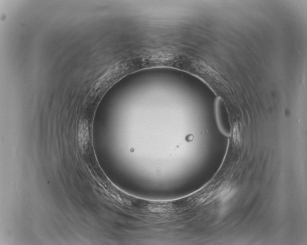 X0000060771299200511141247