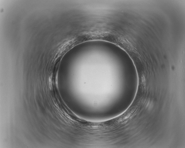 X0000060771300200511141247