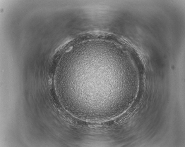 X0000060771302200511141247