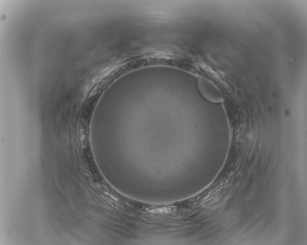 X0000060771303200511141247