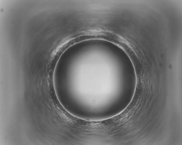 X0000060771304200511141247