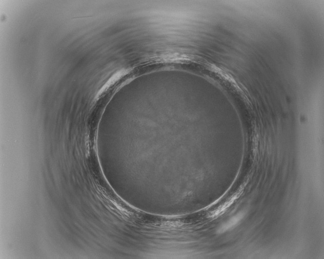 X0000060771306200511141247