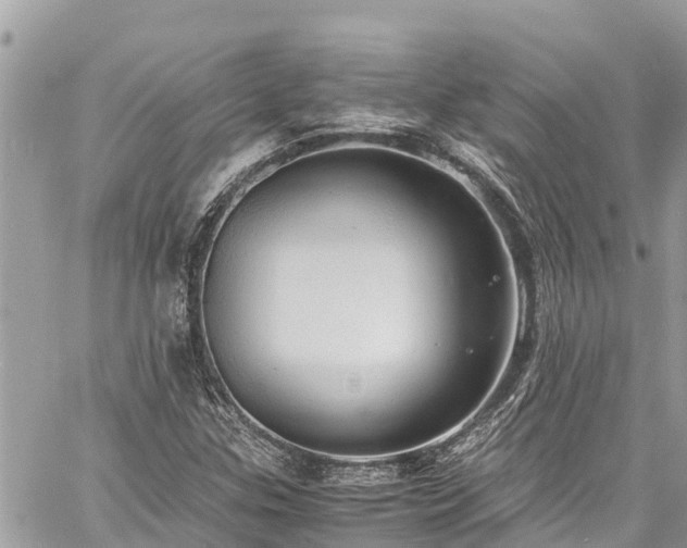 X0000060771307200511141247