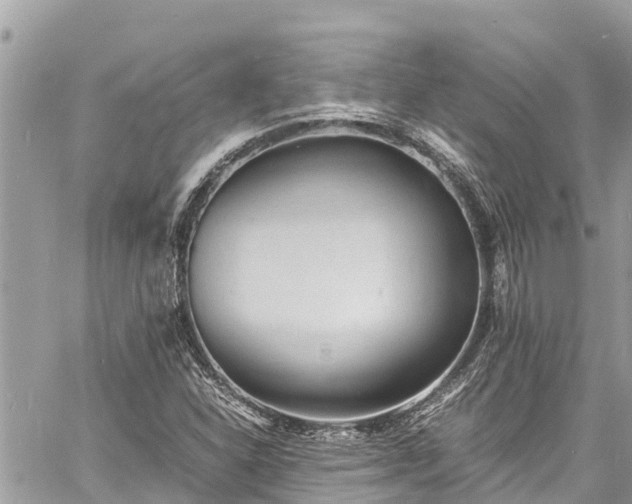 X0000060771310200511141247