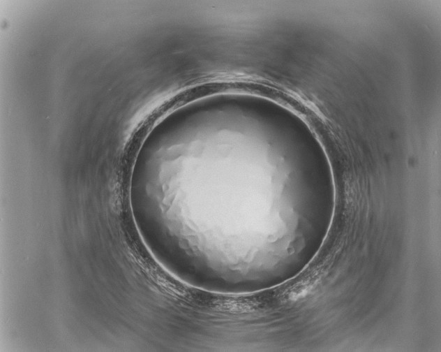 X0000060771311200511141247