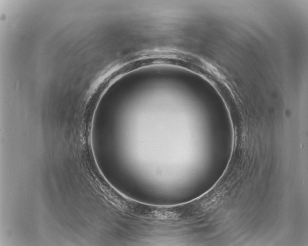 X0000060771312200511141247