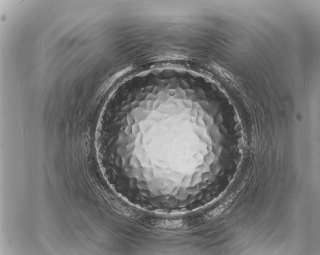 X0000060771313200511141247