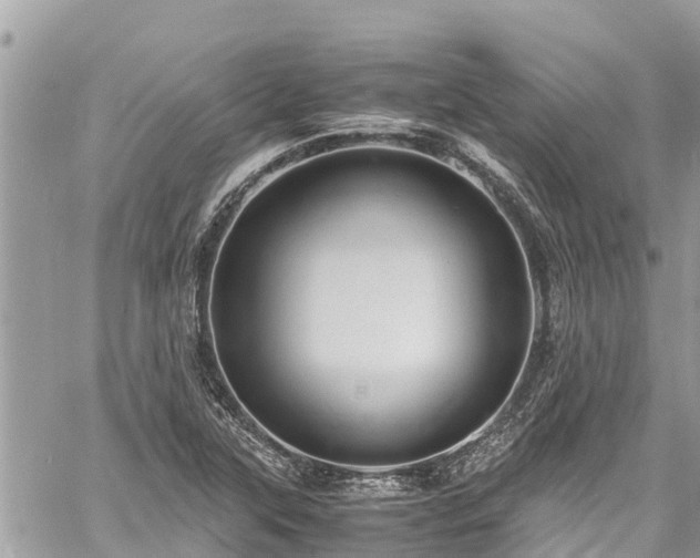 X0000060771315200511141247