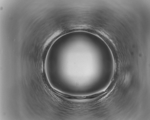 X0000060771317200511141247