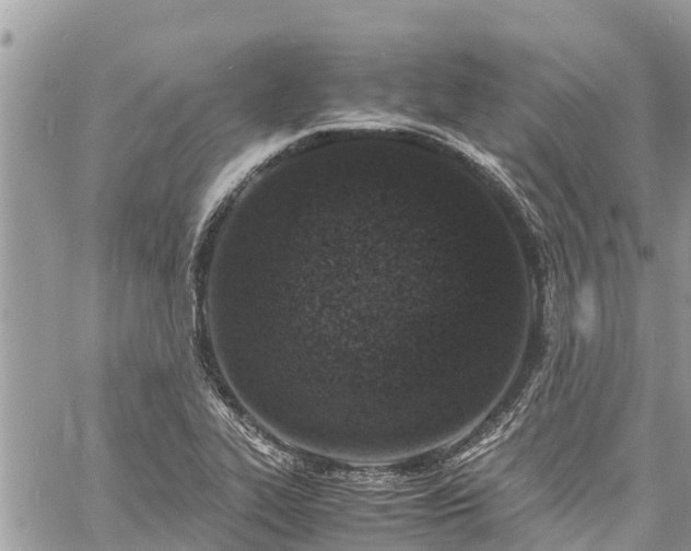 X0000060771319200511141247