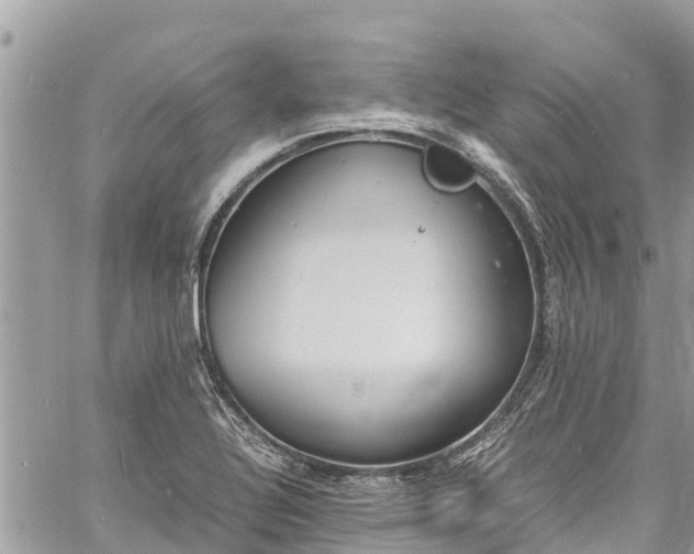 X0000060771320200511141247