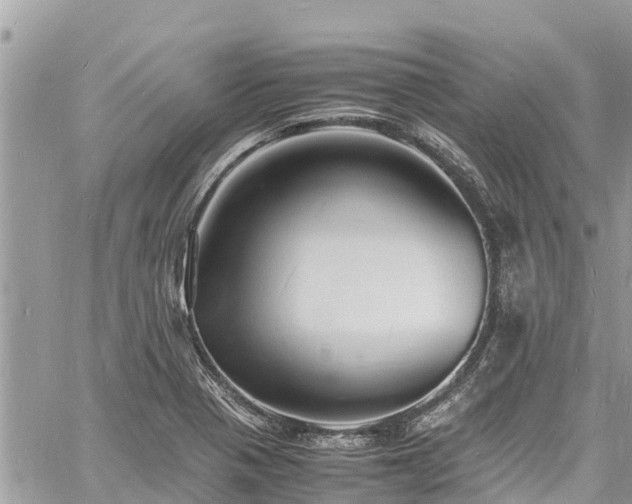 X0000060771321200511141247