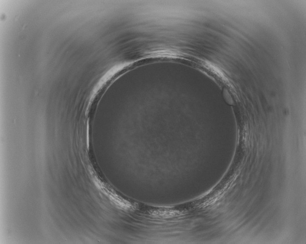 X0000060771323200511141247