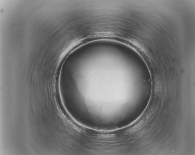 X0000060771325200511141247