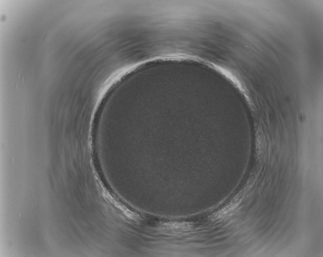 X0000060771327200511141247