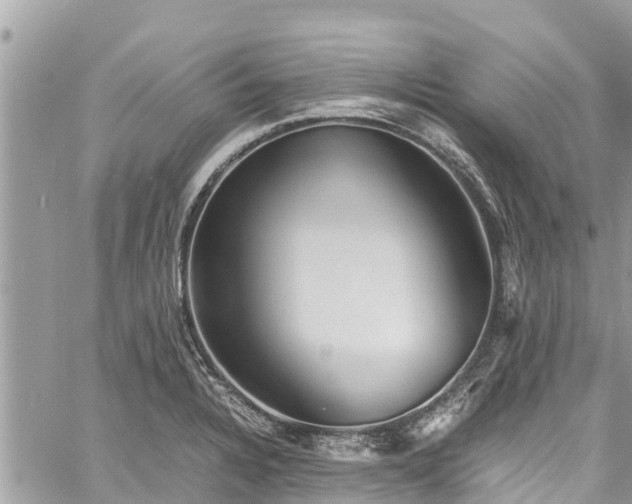 X0000060771328200511141247