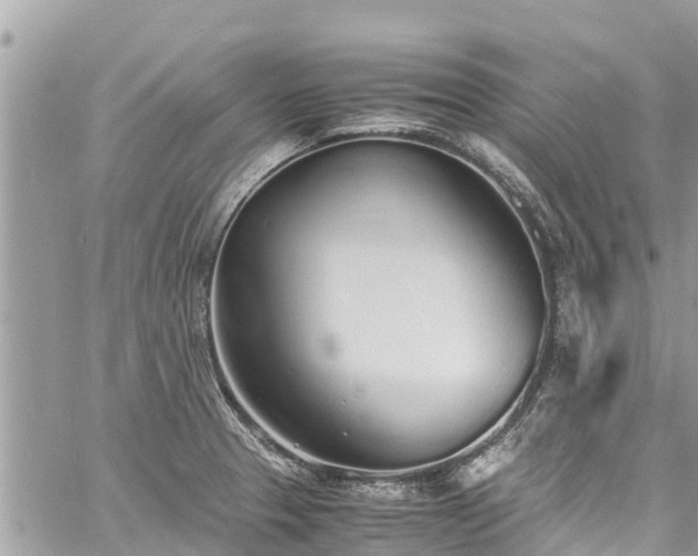 X0000060771329200511141247