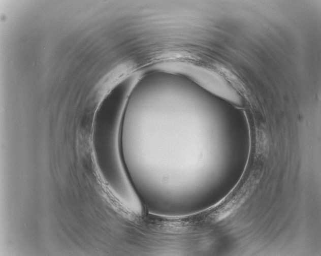 X0000060771330200511141247