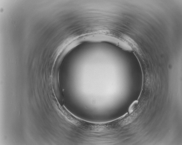 X0000060771332200511141247