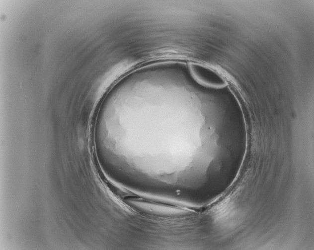 X0000060771333200511141247